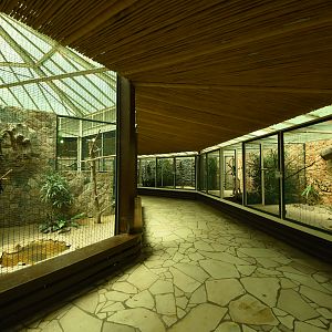 Parrot house - inside