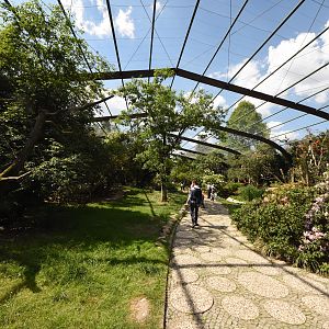 Large walkthrough aviary