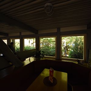Oropendola aviaries in the restaurant