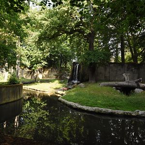 Kamchatka brown bear enclosure