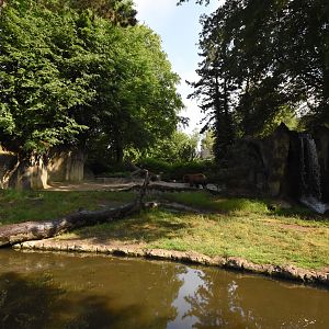Kamchatka brown bear enclosure