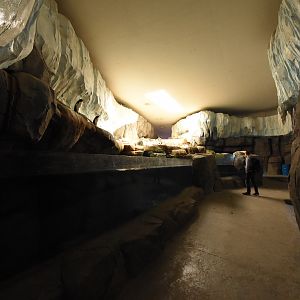 Penguin walk-in fridge