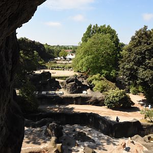 African panorama seen from the back