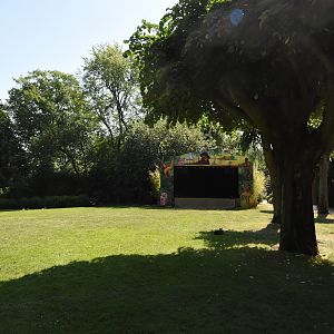 Patagonian cavy lawn