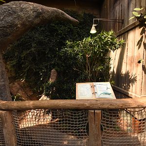 Tropenaquarium - African enclosure