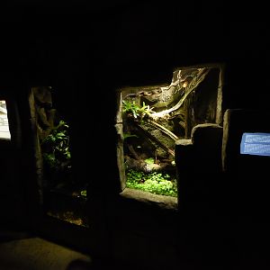 Tropenaquarium -Small terraria