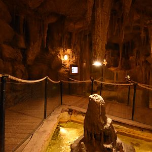 Tropenaquarium - Cave