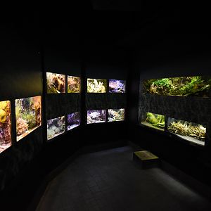 Tropenaquarium - Arrangement of small tank