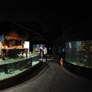 Tropenaquarium - Overview
