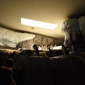 Penguin walk-in fridge