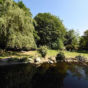Red kangaroo enclosure
