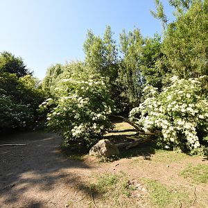 Lowland tapir enclosure