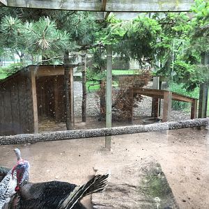 Wild Turkey exhibit - Aviary - Menominee Park Zoo