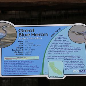 Great Blue Heron Signage