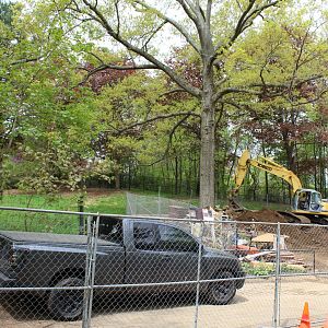 Red Panda Construction