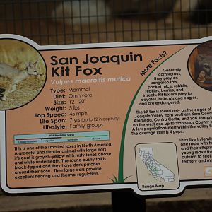 San Joaquin Kit Fox Sign