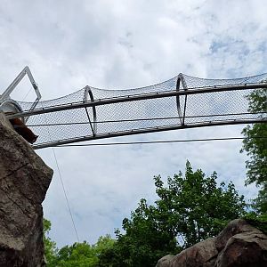 Red Panda Zoo360 Trail (Water is Life) - May 2018