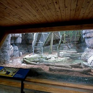 Giant Otter Exhibit #3 (Water is Life) - May 2018