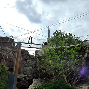 Red Panda 360 Trail (Water is Life) - may 2018