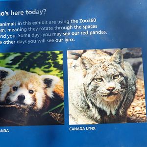 Signage for Red Panda Exhibit #2 (May 2018)