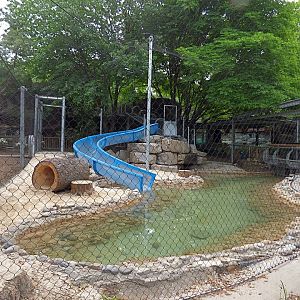 Giant Otter Exhibit #2 (Water is Life) - may 2018