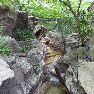Giant Otter 360 Trail between exhibits (Water is Life) - May 2018