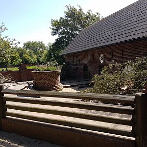 Porcupine outdoor-enclosure
