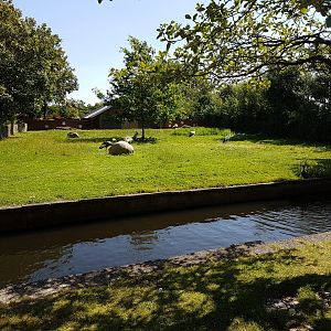 Crane - Stork enclosure