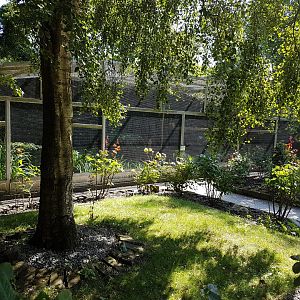 Large aviary ( macaws )
