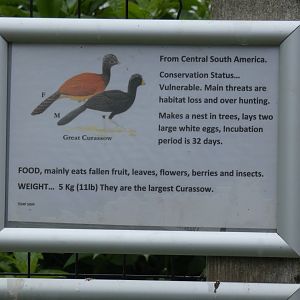 Great Curassow Signage