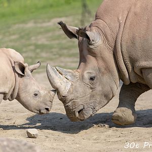 Baby Theodore meets Aunt Sabi