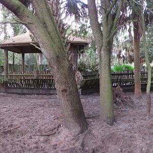 Warthog Exhibit Rear View