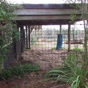 Holding Yard For White Rhino