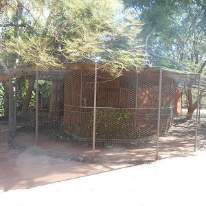 Gouldian Finch & Masked Lapwing enclosure