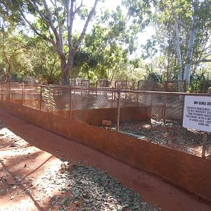 New Guinea Crocodile enclosures