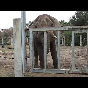 Jacksonville Zoo January 2014 - YouTube