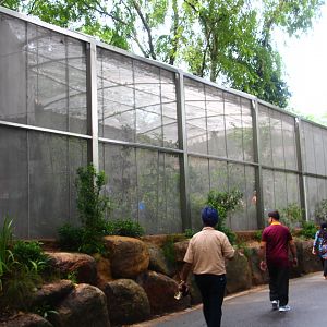 Fragile Forest - Butterfly Aviary (exterior)