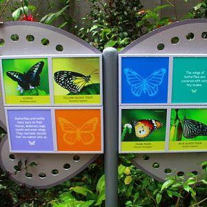 Fragile Forest - Butterfly Aviary Signage