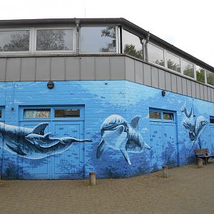 Dolphinarium wall art