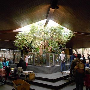 Primate House interior