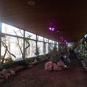 Lemur house interior