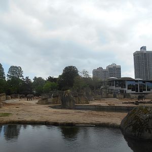 Asian Elephant paddock complex