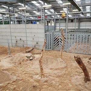 Interior of elephant house