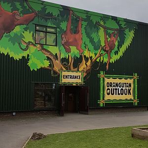 Orang utan building