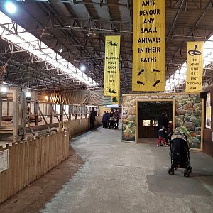 Interior of the old elephant house