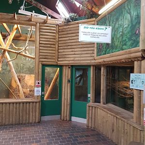 Interior of the small primate house