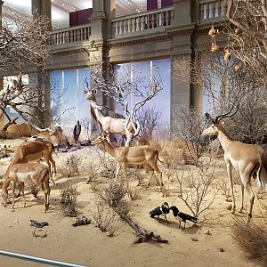 Alexander Koenig Research Museum Bonn