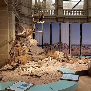 Alexander Koenig Research Museum Bonn