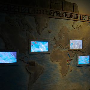 Great Maya Reef - Display