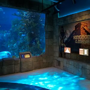 Great Maya Reef - Exhibit With Walk-through Tunnel